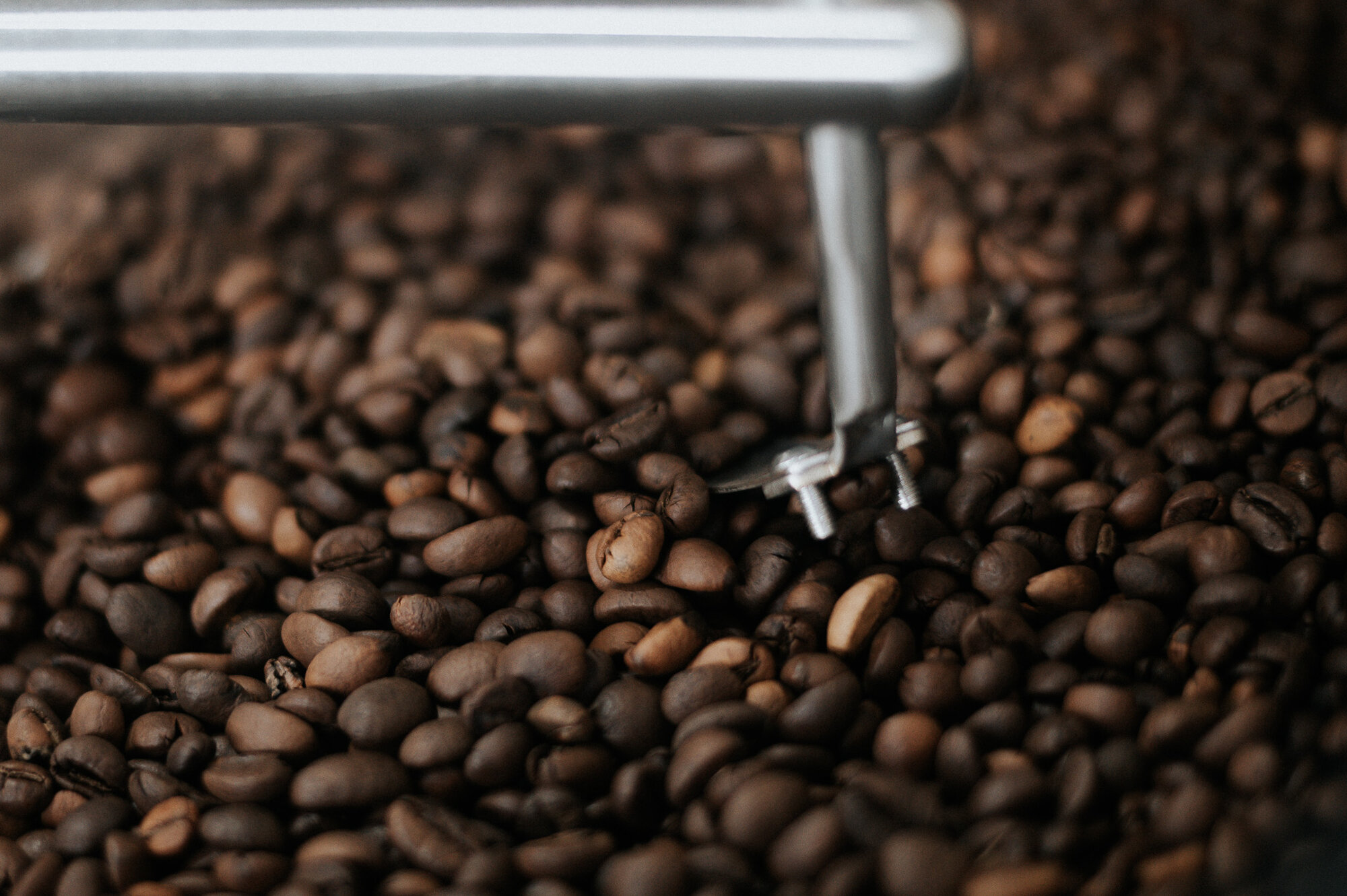 ClarityChats coffee roasting beans closeup